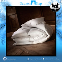 Carica l'immagine nel visualizzatore di Gallery, Piumino letto in piuma D400 Daunenstep