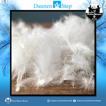 Carica l'immagine nel visualizzatore di Gallery, Piumino letto in piuma D600 Daunenstep