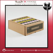 Carica l'immagine nel visualizzatore di Gallery, LANEROSSI TRIENNALE Plaid in pura lana vergine